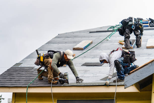 Professional Gutter Installation technician working in Princeton, KS